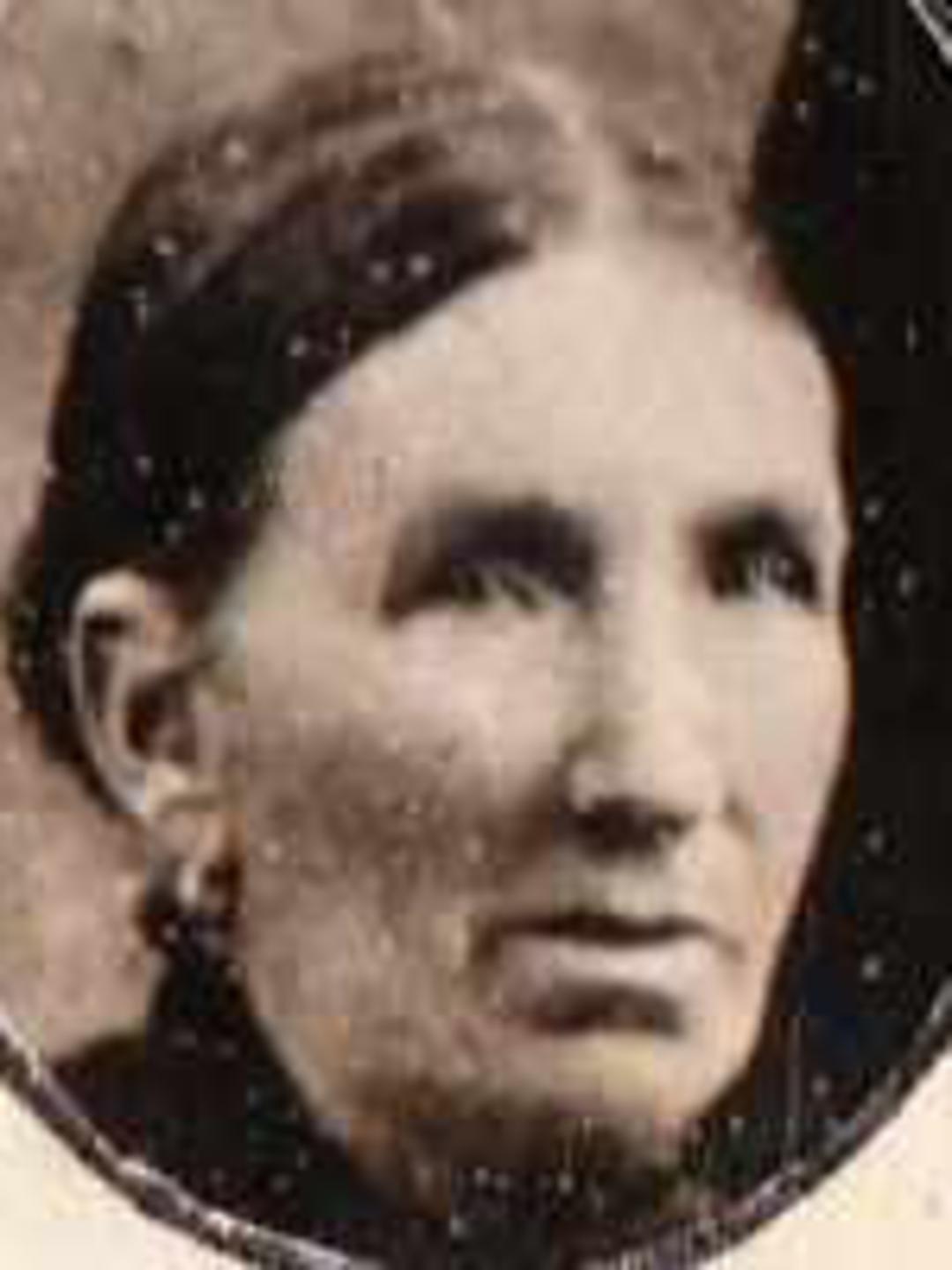 Jane Lawrenson (1838 - 1927) Profile